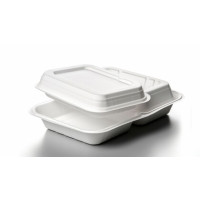 Plastic Tray HINGED WHITE 150CT 9X6X3 (HOGIE)